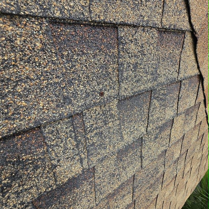 Asphalt shingle roof with exposed fastener and damage Asphalt shingle roof with exposed fastener and damage
