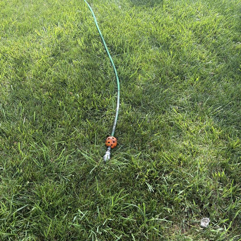 Mainline sewer jetter hose with spinning nozzle on grass