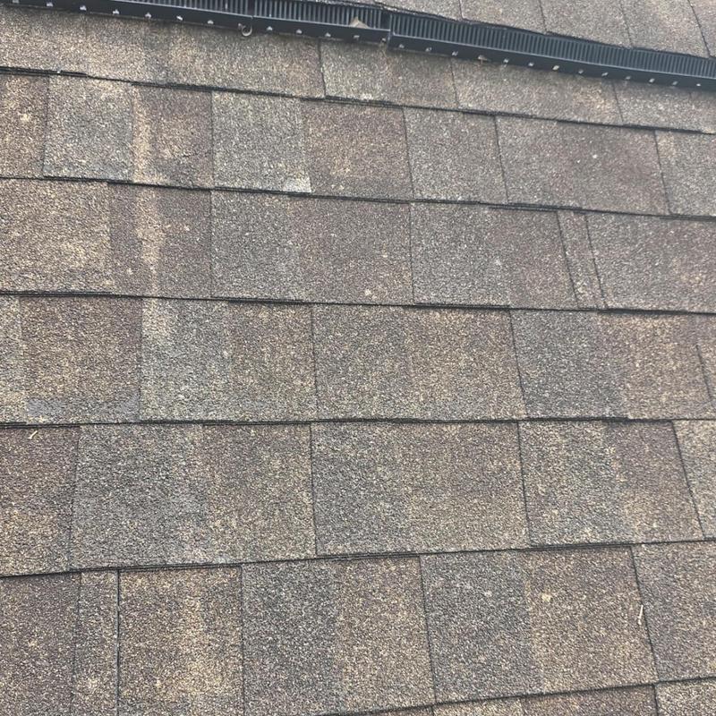 Architectural shingle roof showing wear and granule loss
