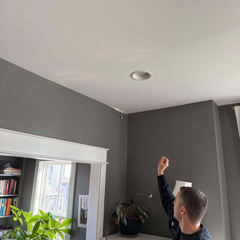 Ceiling corner with water damage and peeling paint