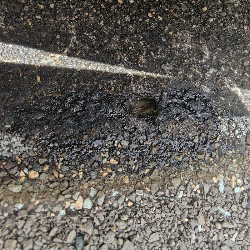 Asphalt driveway with small surface crack and patch