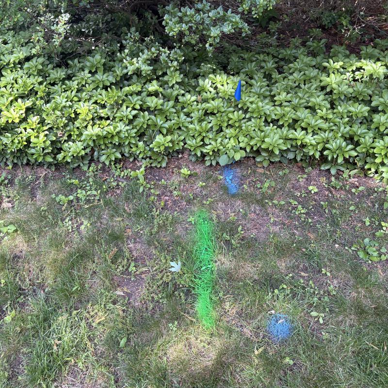 Underground sewer line with blue and green marking flags Underground sewer line with blue and green marking flags