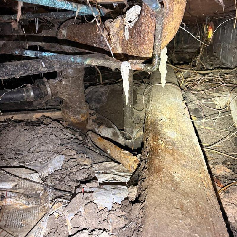 Mainline drain pipe with rust and debris buildup