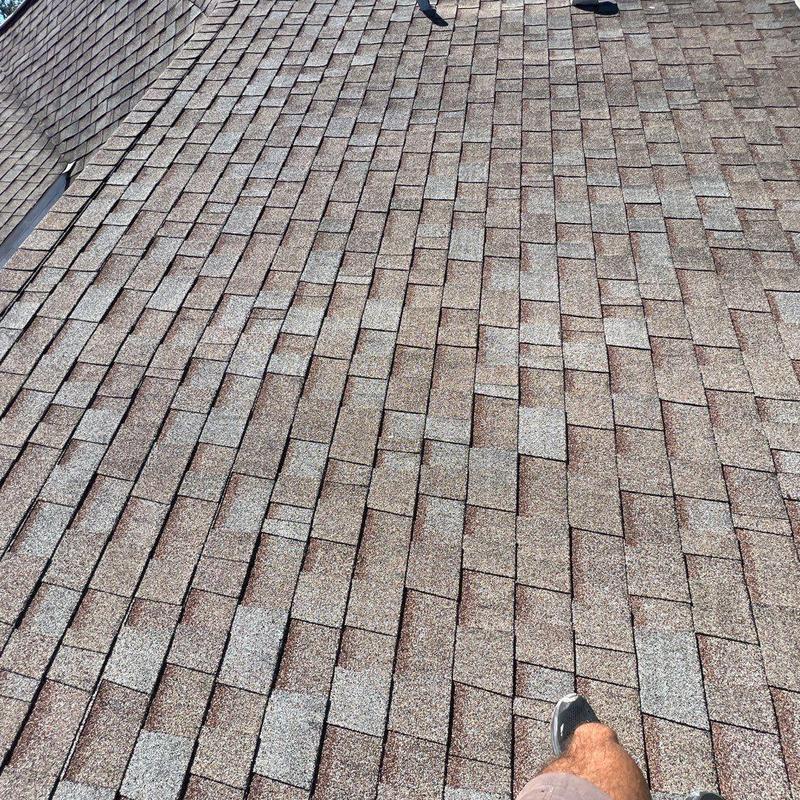 Asphalt shingle roof with inspection in Ft. Myers Asphalt shingle roof with inspection in Ft. Myers