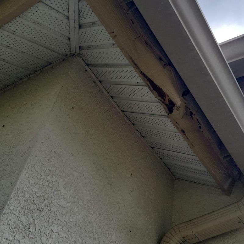 Fascia board damage and rot on roof edge Fascia board damage and rot on roof edge