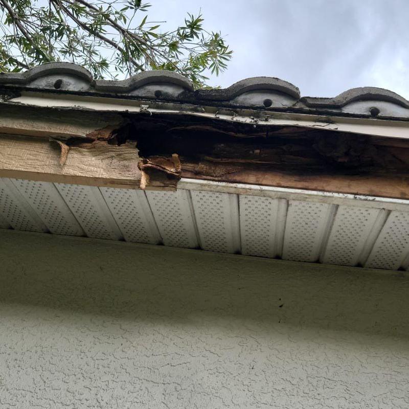 Fascia board with severe water damage and rot Fascia board with severe water damage and rot