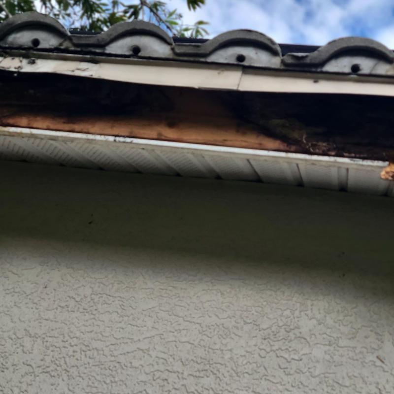 Fascia board with water damage and material issues Fascia board with water damage and material issues