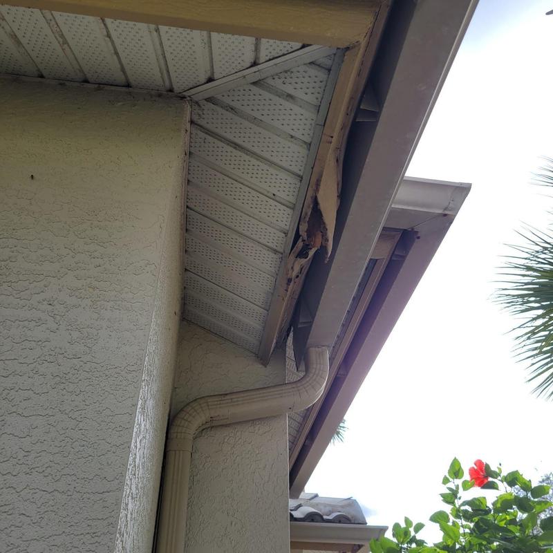 Damaged wood fascia board with soffit vent and gutter Damaged wood fascia board with soffit vent and gutter