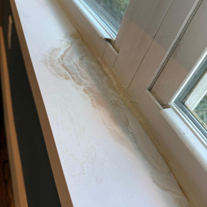 Window sill water damage and mold stains near frame