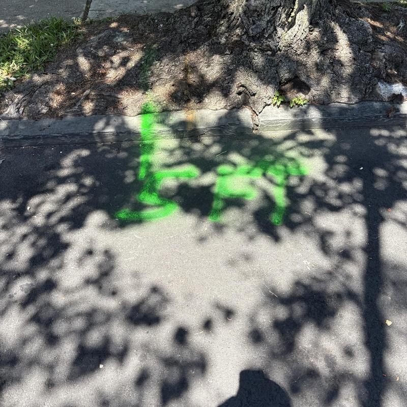 Main line sewer camera inspection markings on pavement Main line sewer camera inspection markings on pavement