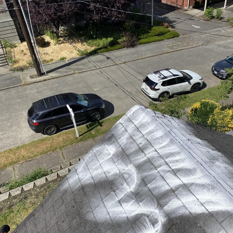 Roof shingles with white moss treatment spray applied
