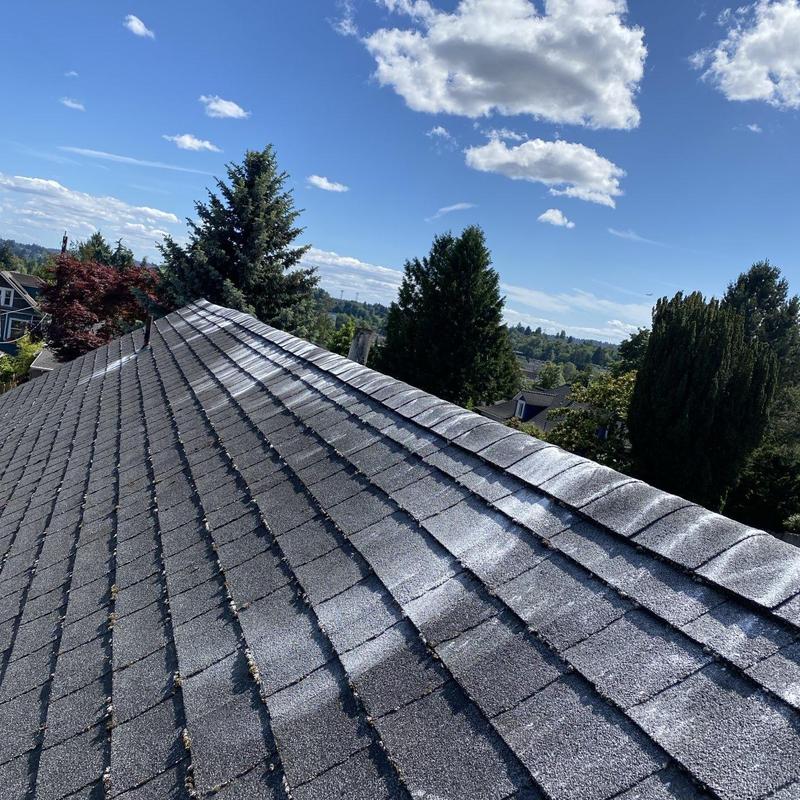 Asphalt shingle roof with moss treatment and cleaning