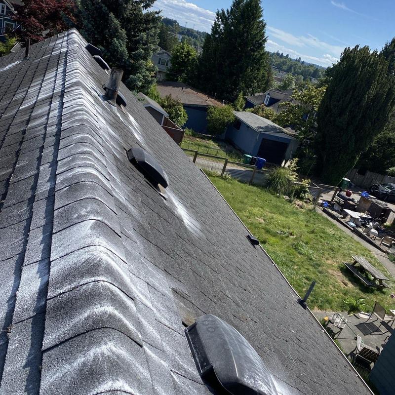 Roof shingles with moss treatment and cleaning residue