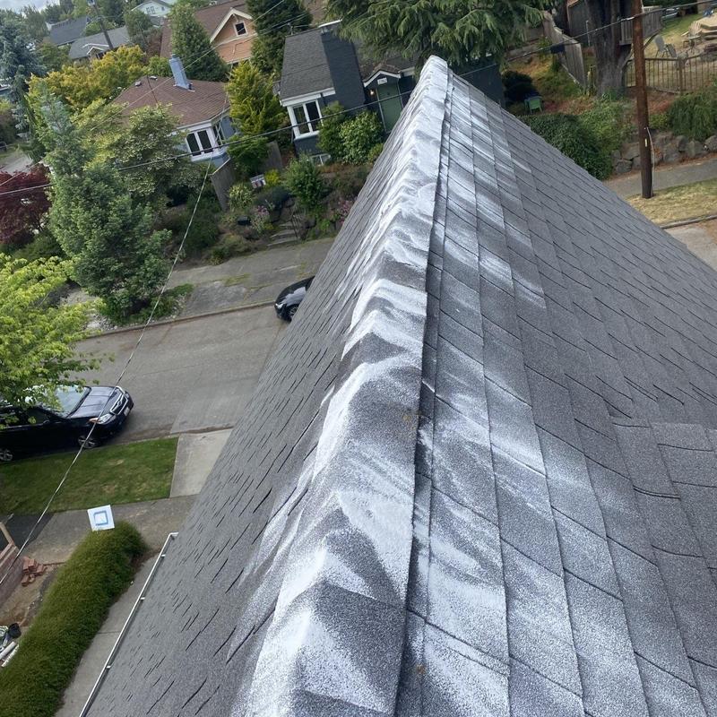 Asphalt shingle roof with moss treatment and cleaning