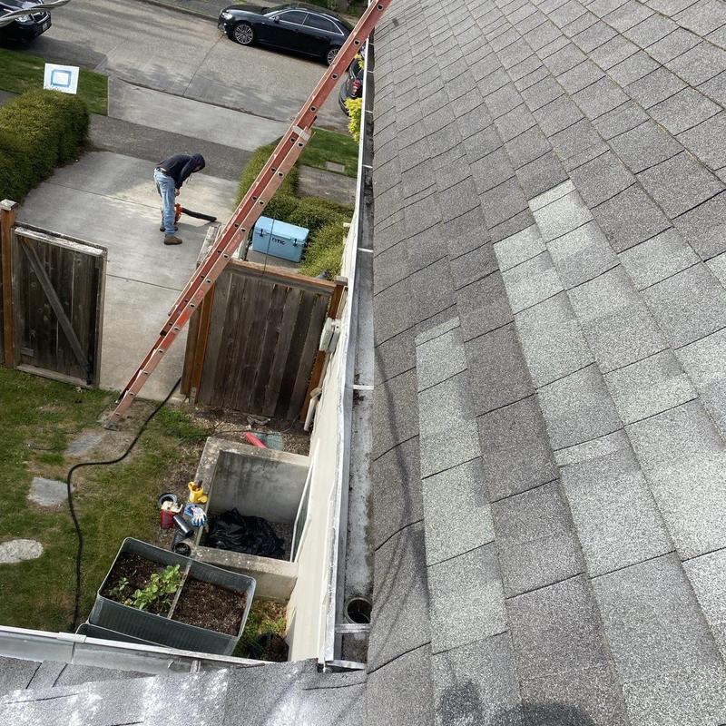Roof shingles cleaning and gutter debris removal