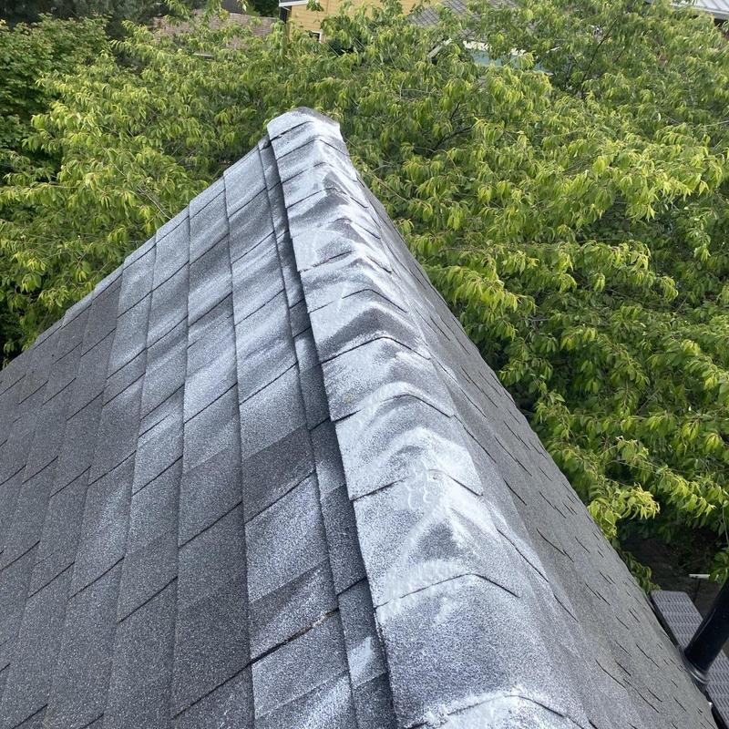 Shingle roof ridge with moss treatment residue
