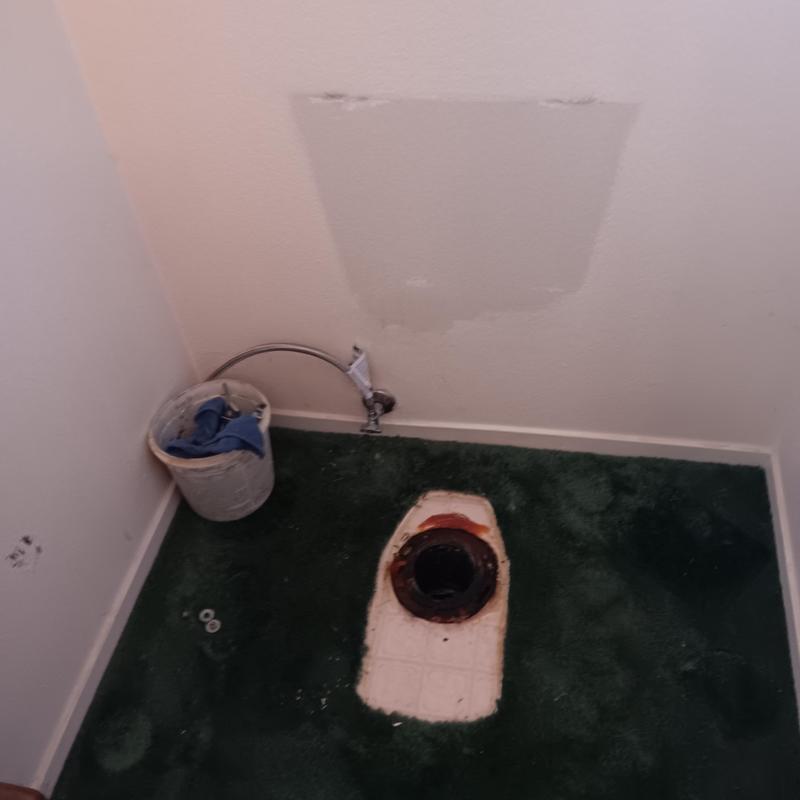 Toilet flange installation on green carpeted floor