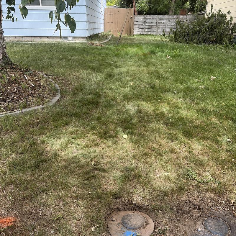 Yard water valve and grass area with leak assessment Yard water valve and grass area with leak assessment