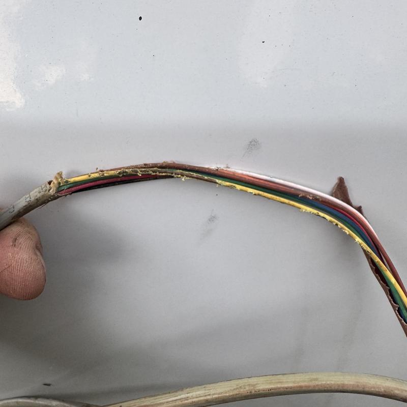 Thermostat wire with chewed insulation damage Thermostat wire with chewed insulation damage