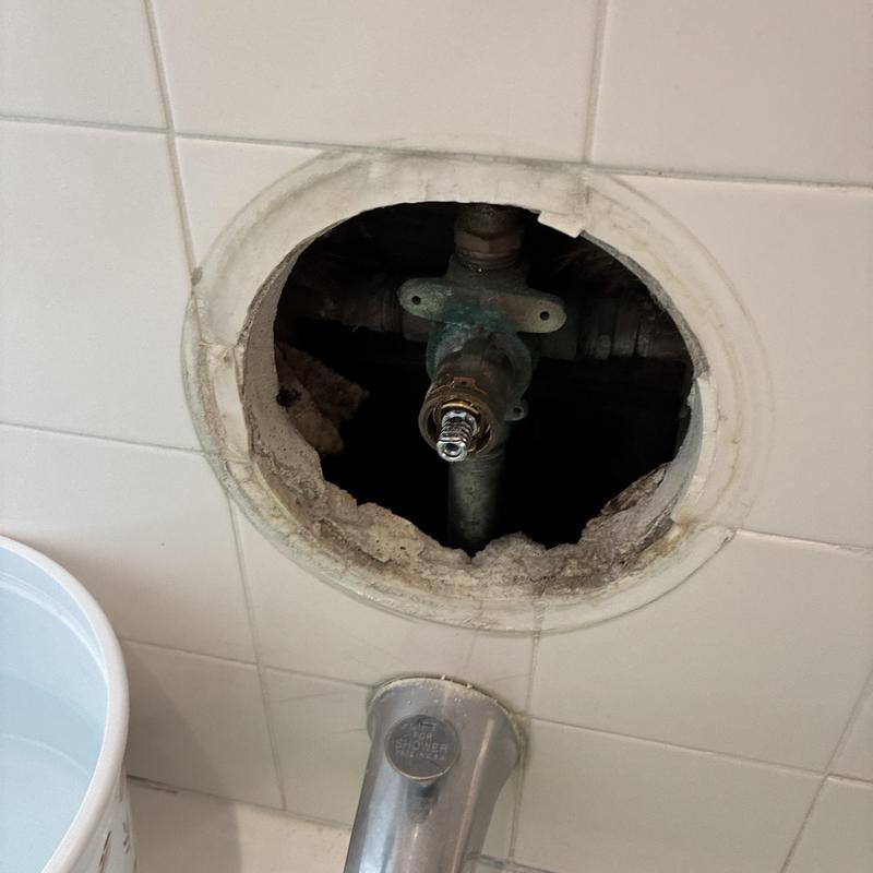 Moen shower faucet cartridge replacement site