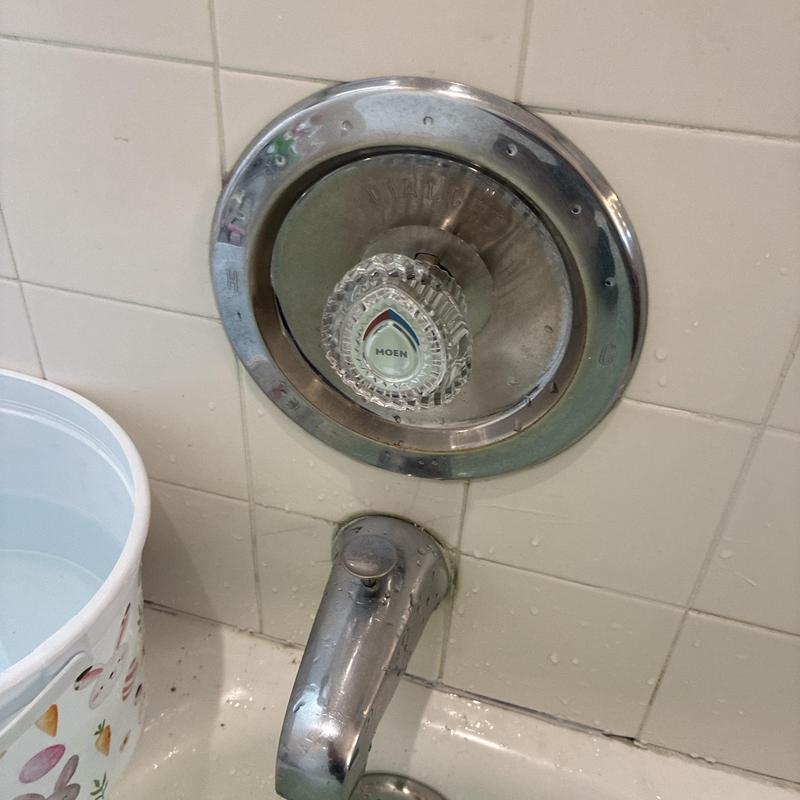 Moen shower faucet with new cartridge and handle