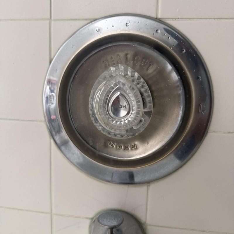 Moen Shower Faucet Handle and Trim Plate