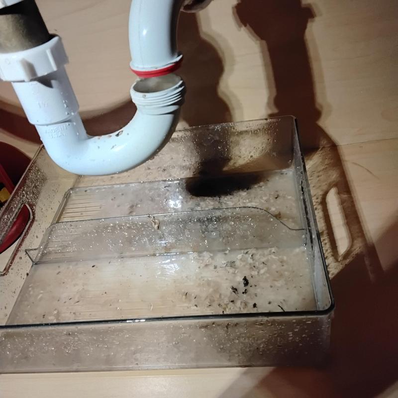 AC drain line pipe with clogged lavatory sink debris container