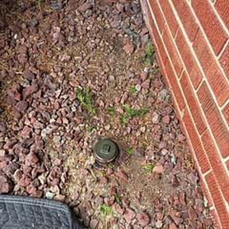Main line cleanout access in landscaped yard Main line cleanout access in landscaped yard