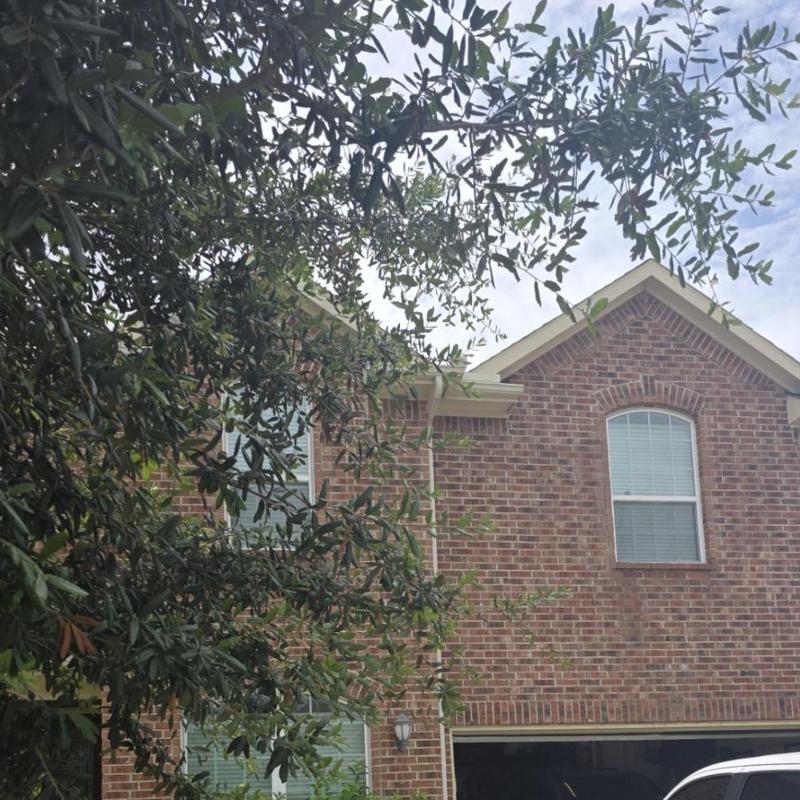 Roof shingles and gutters with aging and debris buildup