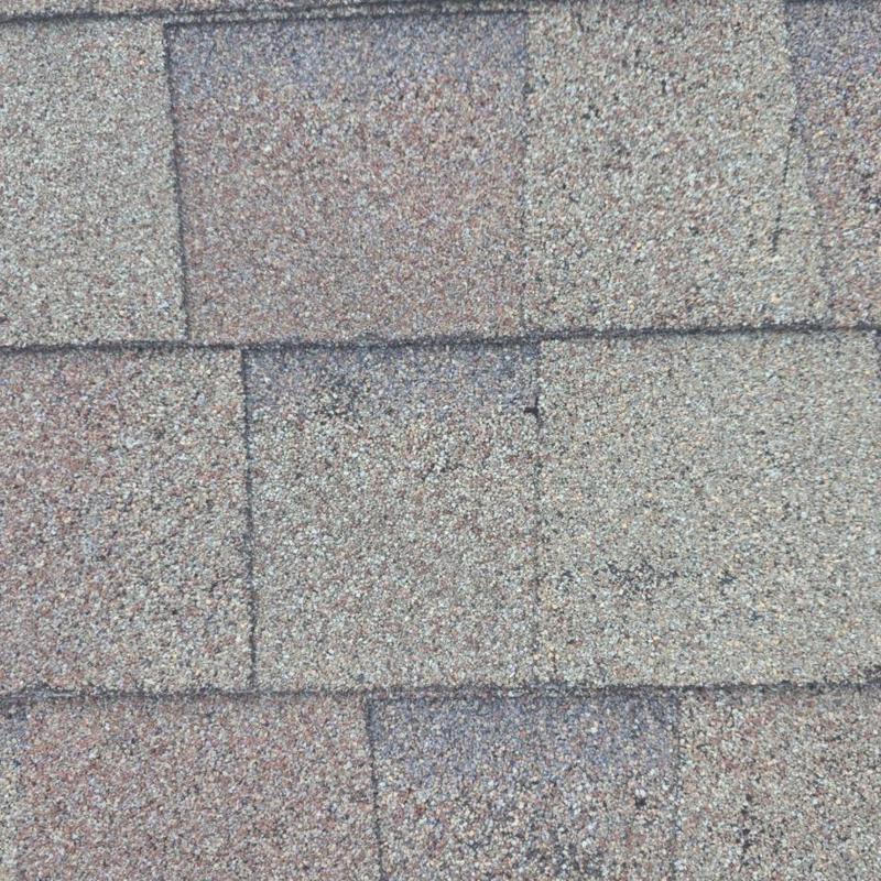 Asphalt roof shingles with granule loss and hail damage