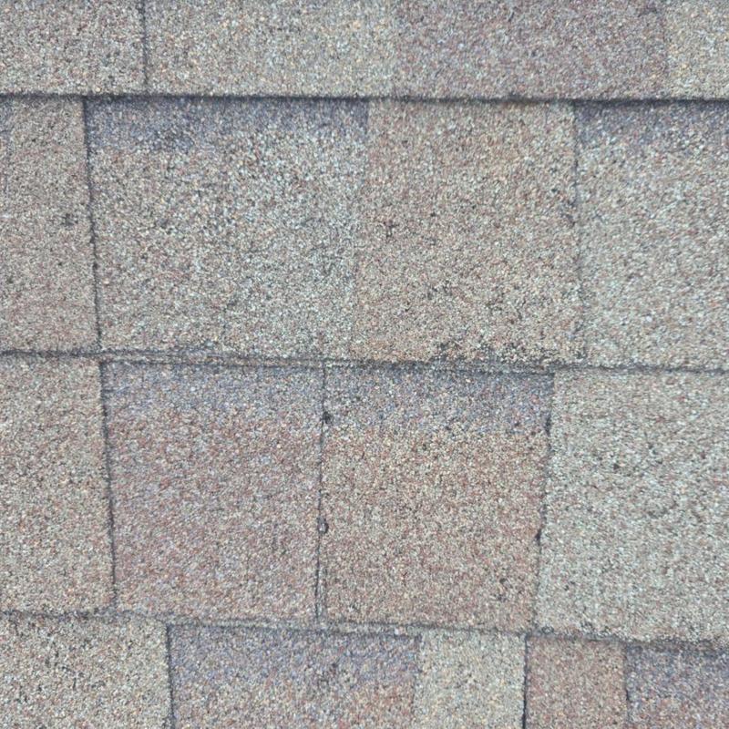 Asphalt shingle roof with hail damage and granule loss