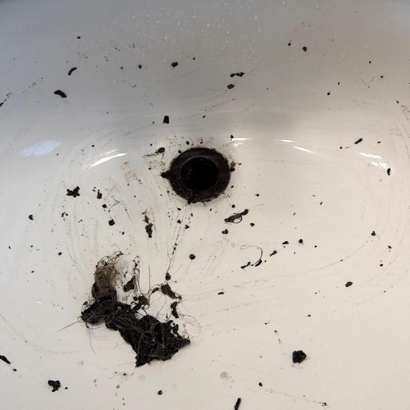Sink drain clogged with hair and debris cleared Sink drain clogged with hair and debris cleared