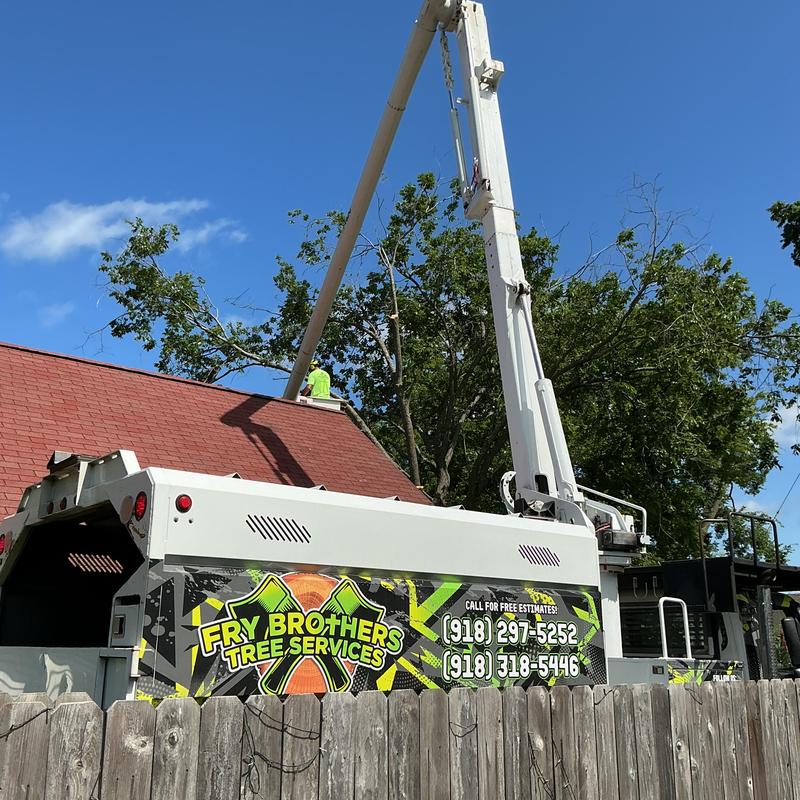 Bucket truck lifting crew for tree removal Bucket truck lifting crew for tree removal