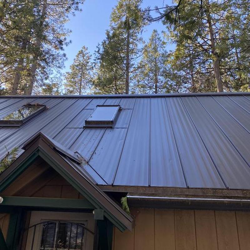 Metal roof with skylights on cabin in forest