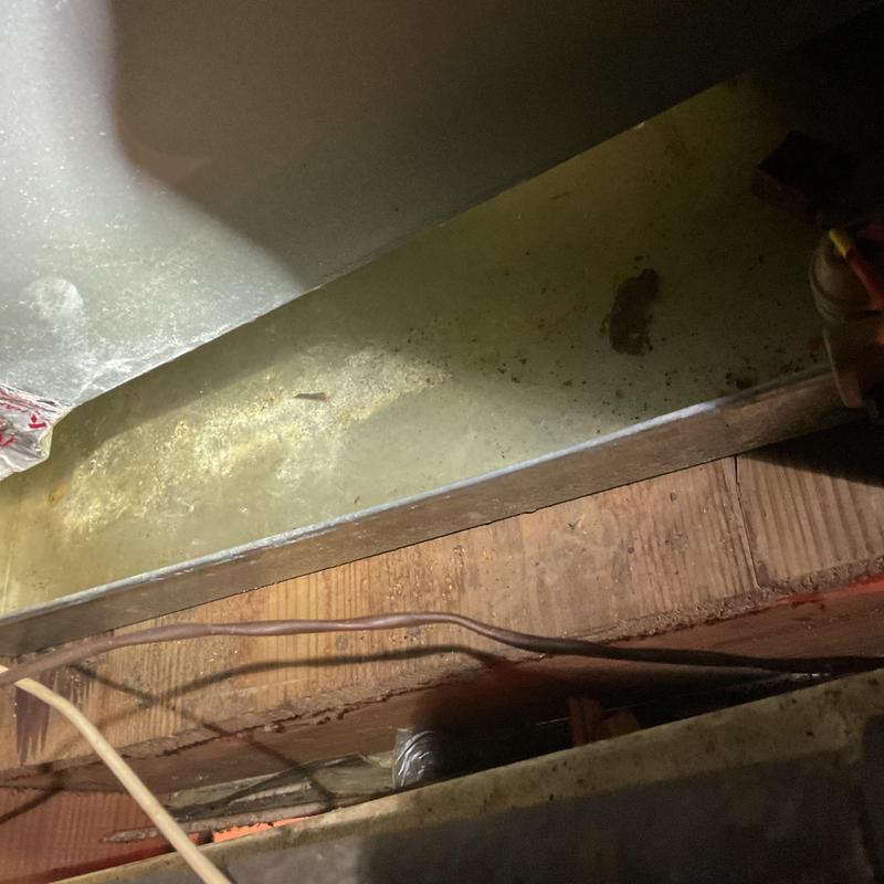 Condensate pump flooded drain pan with stagnant water Condensate pump flooded drain pan with stagnant water