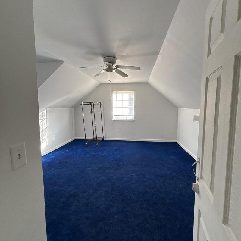 Ceiling fan and blue carpeted attic room interior