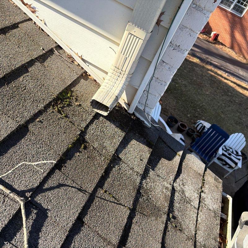 Asphalt roof shingles with moss near downspout