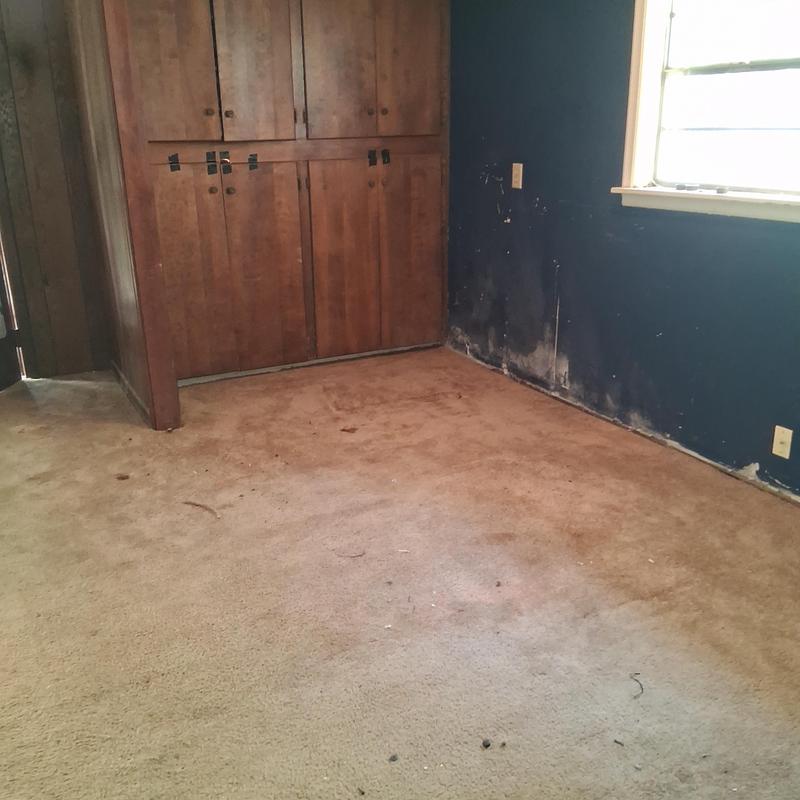 Carpet flooring with wall mold and wood closets