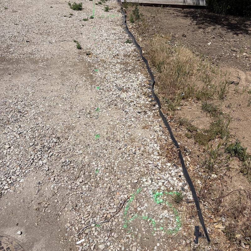 Sewer main ground markings for repipe estimate Sewer main ground markings for repipe estimate