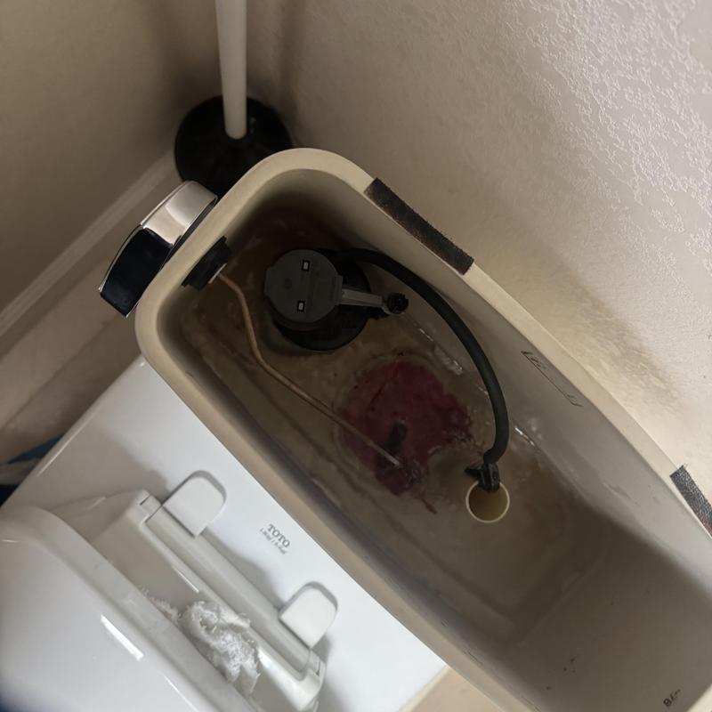 Toilet tank flapper and fill valve replacement in residence