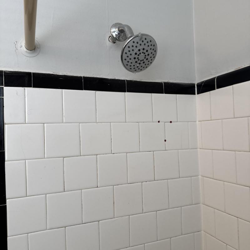 Tub shower diverter valve area with showerhead and tiled wall Tub shower diverter valve area with showerhead and tiled wall