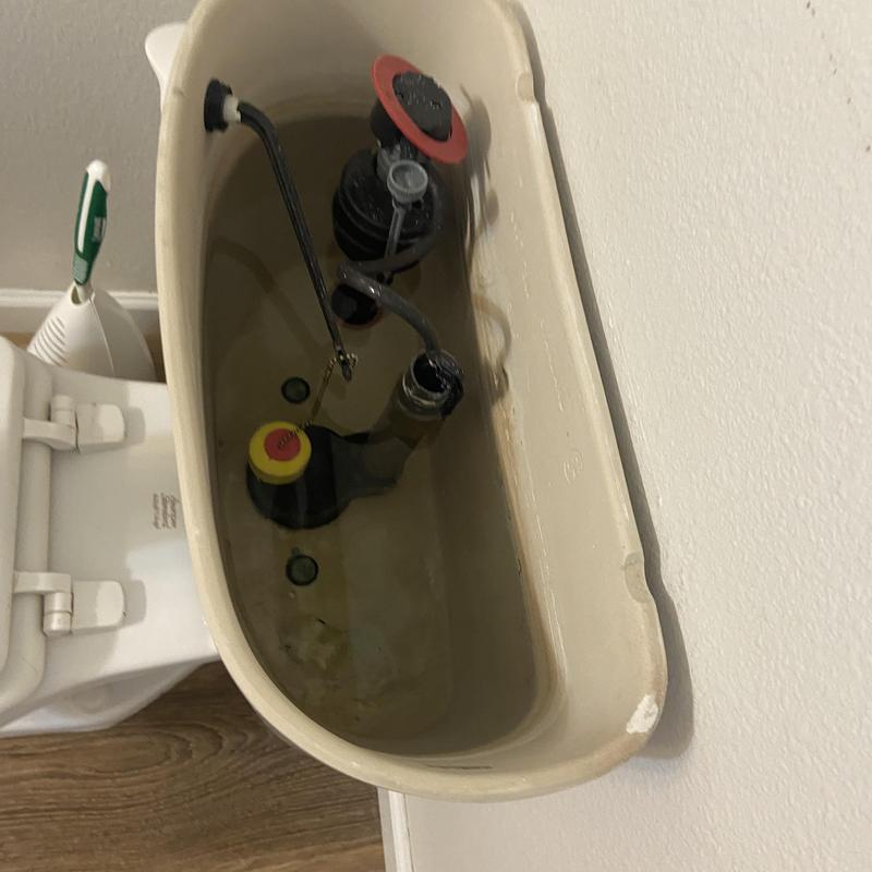Toilet tank components with water fill and flush valve