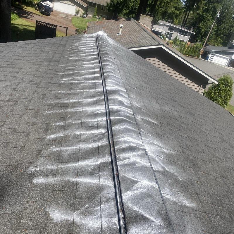 Roof moss treatment on shingle roof ridge