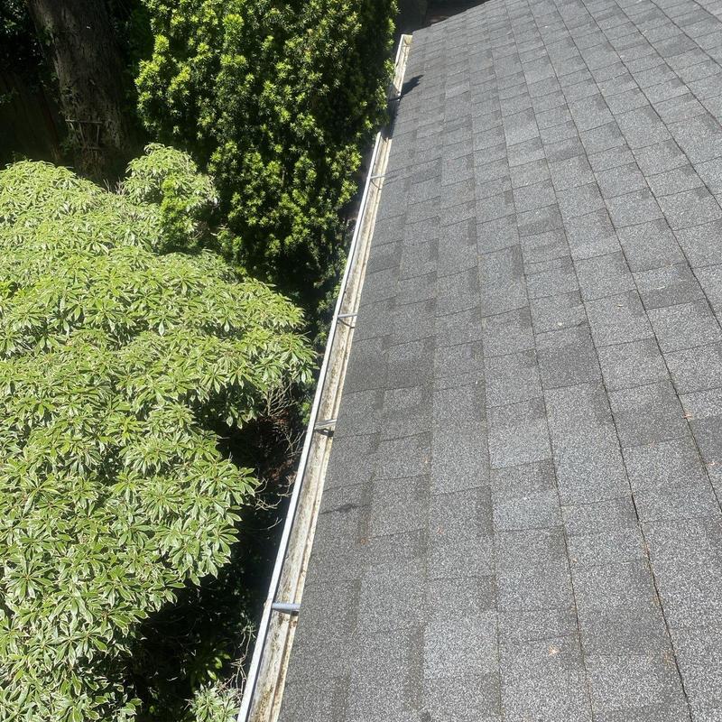 Roof gutters with moss and leaf debris buildup