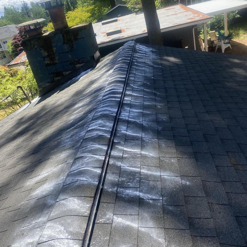 Roof shingles with moss treatment and cleaning residue