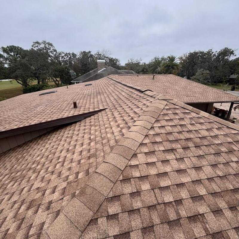 Architectural shingle roof with ridge vent and skylights Architectural shingle roof with ridge vent and skylights