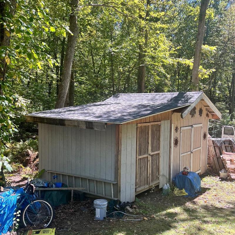 Shed roof with new shingles in wooded backyard Shed roof with new shingles in wooded backyard