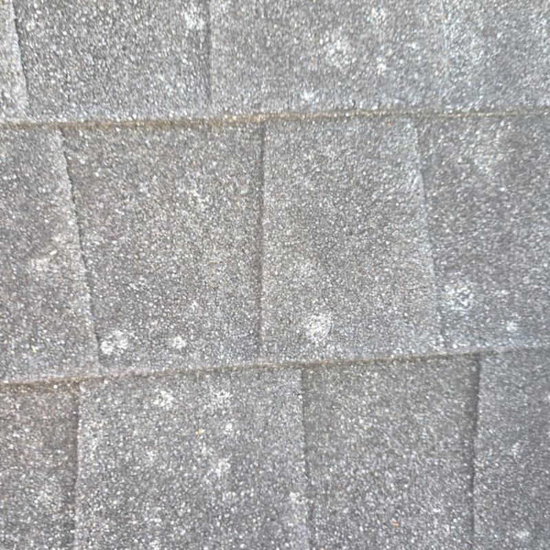 Asphalt shingle roof showing weathering and wear