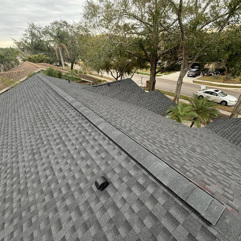 Asphalt shingle roof with ridge vent in Palm Harbor Asphalt shingle roof with ridge vent in Palm Harbor