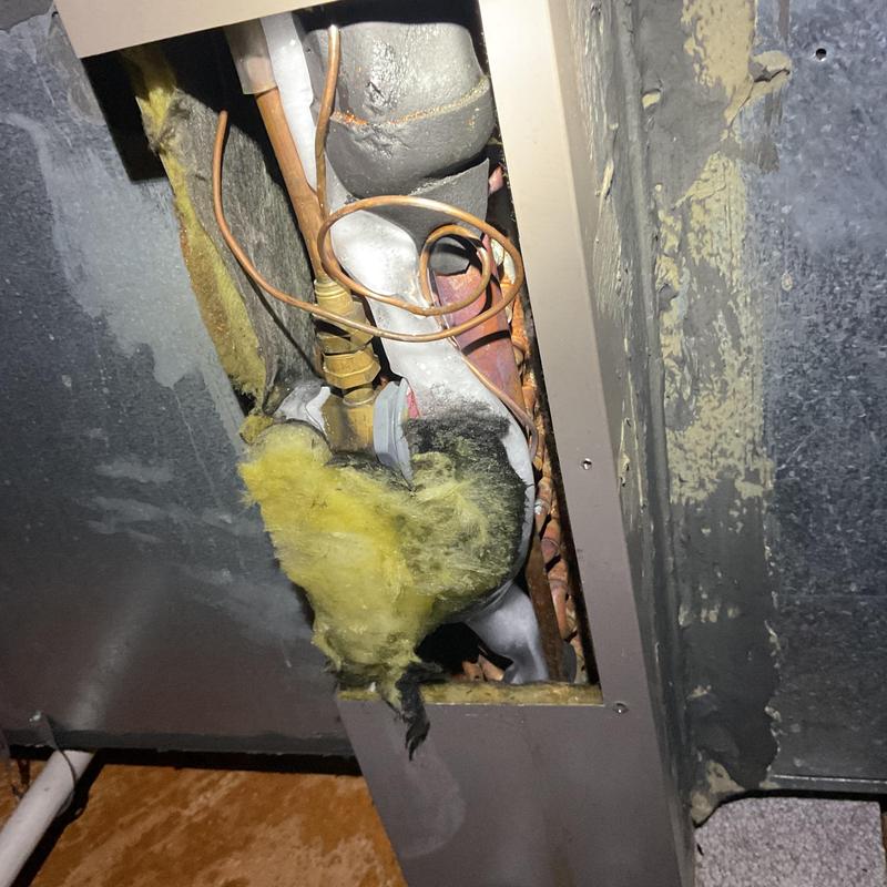 Upstairs evaporator coil with insulation damage and frost buildup Upstairs evaporator coil with insulation damage and frost buildup